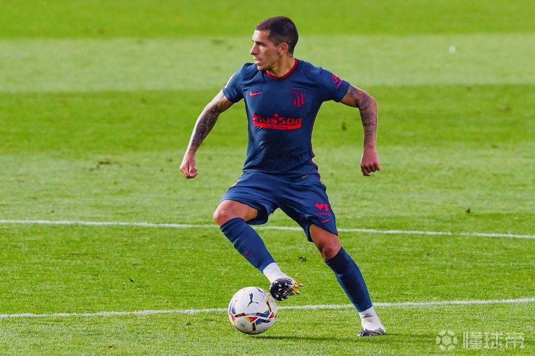 国王杯关键时刻走向成谜，夏洛特黄蜂复出首秀，引发热议，团队化学反应显著的简单介绍